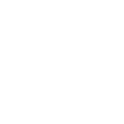 icon-ins